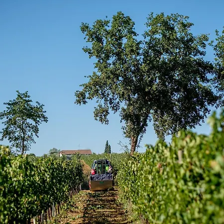 Podere La Rocca אבדיאנה די מונטפולצ'אנו