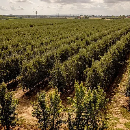 Podere La Rocca